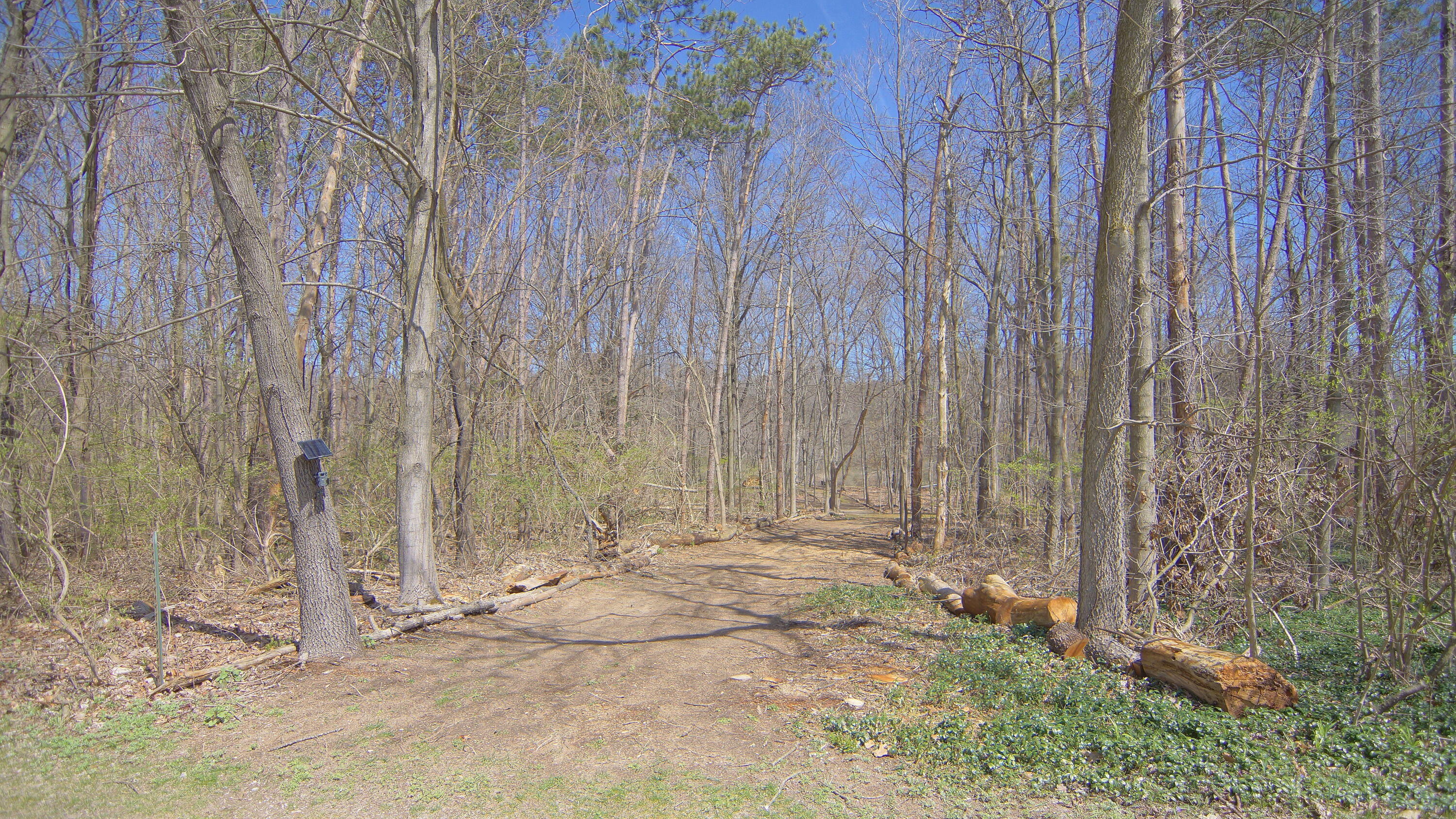 4336 Hills Haven Road