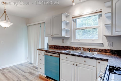 Tiny photo for 117 S Christine Circle #117, Mt Clemens City, MI 48043 (MLS # 20261083079)