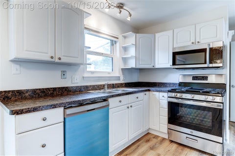 Tiny photo for 117 S Christine Circle #117, Mt Clemens City, MI 48043 (MLS # 20261083079)