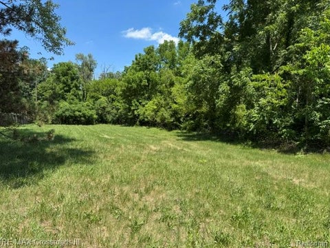 Photo for 000 Ecorse Road
