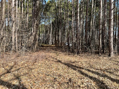 Photo for 9047 Pineview River Drive