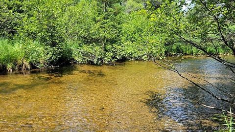 3028 Palmer Place Grayling Charter Township MI 49738