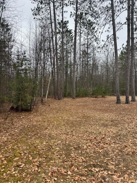 Tiny photo for 10365 Cadillac Drive, Freeman Township, MI 48632 (MLS # 81026013590)