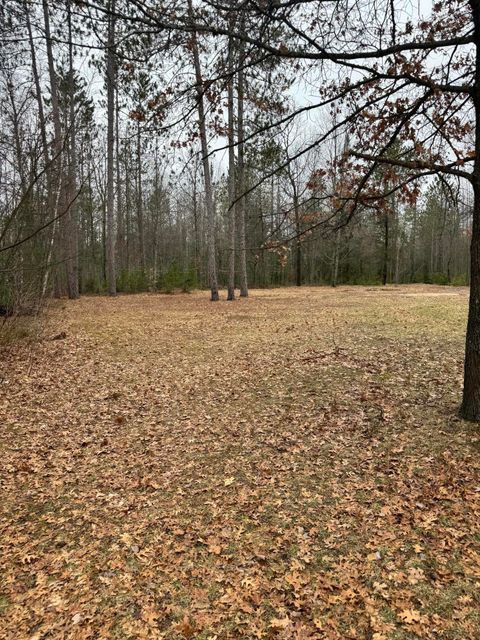 Tiny photo for 10365 Cadillac Drive, Freeman Township, MI 48632 (MLS # 81026013590)