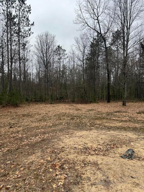 Tiny photo for 10365 Cadillac Drive, Freeman Township, MI 48632 (MLS # 81026013590)