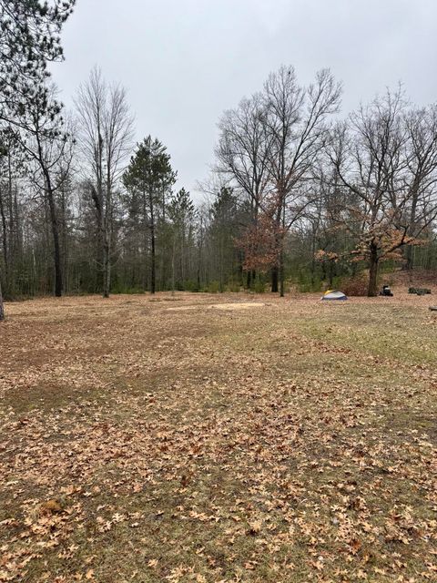 Tiny photo for 10365 Cadillac Drive, Freeman Township, MI 48632 (MLS # 81026013590)