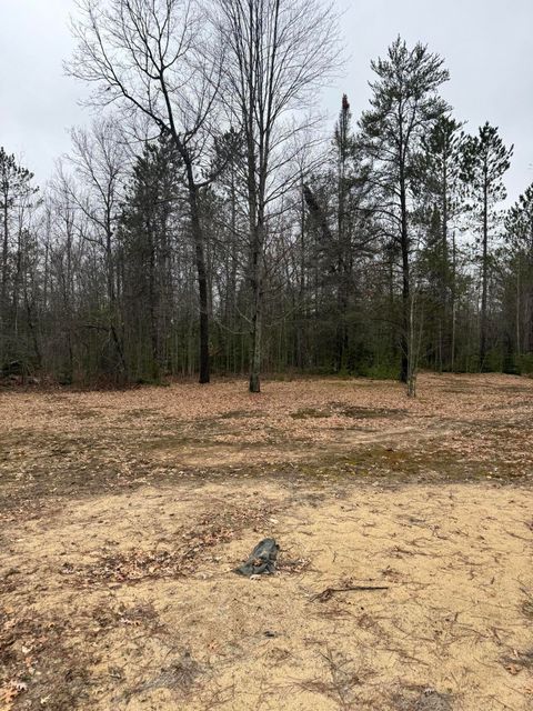 Tiny photo for 10365 Cadillac Drive, Freeman Township, MI 48632 (MLS # 81026013590)