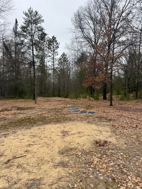 Tiny photo for 10365 Cadillac Drive, Freeman Township, MI 48632 (MLS # 81026013590)