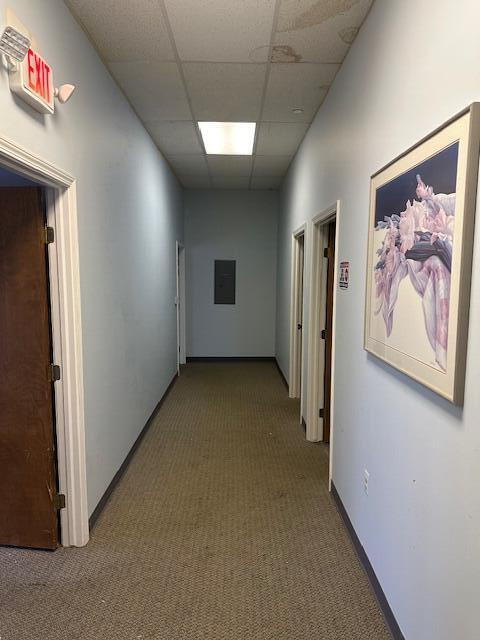 3526 W Liberty Road 300