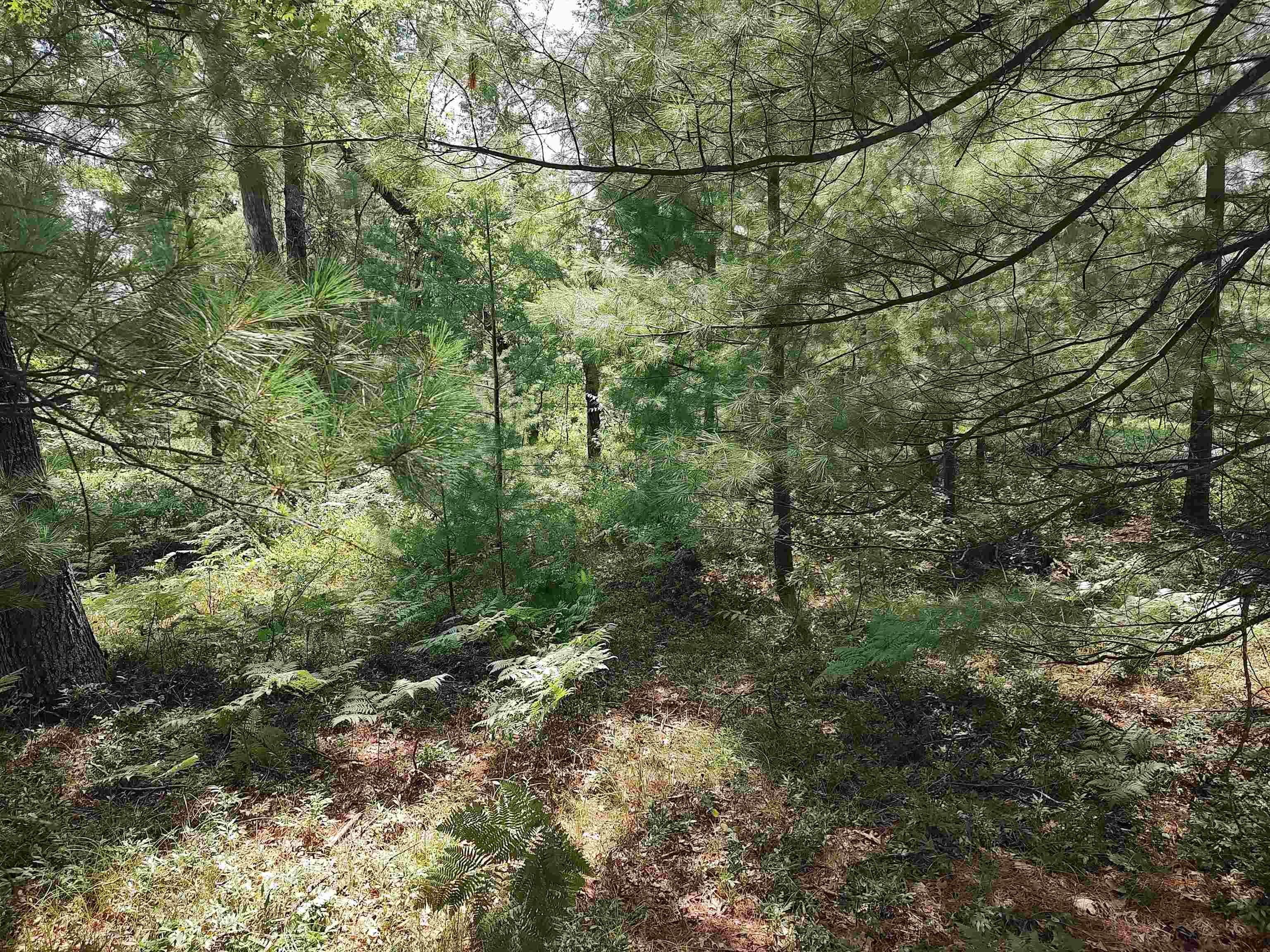 Lot 186 Winterset Drive