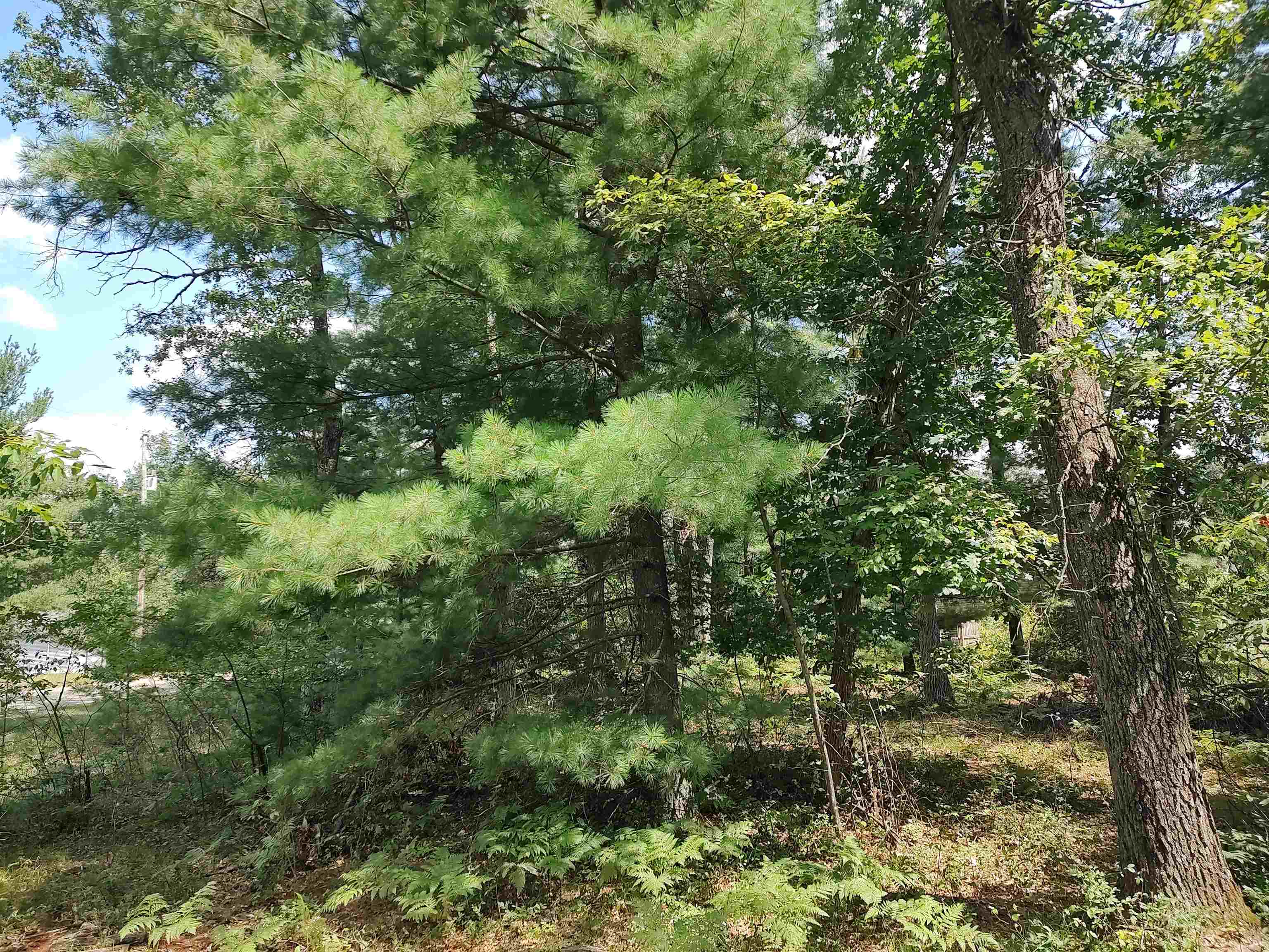 Lot 186 Winterset Drive