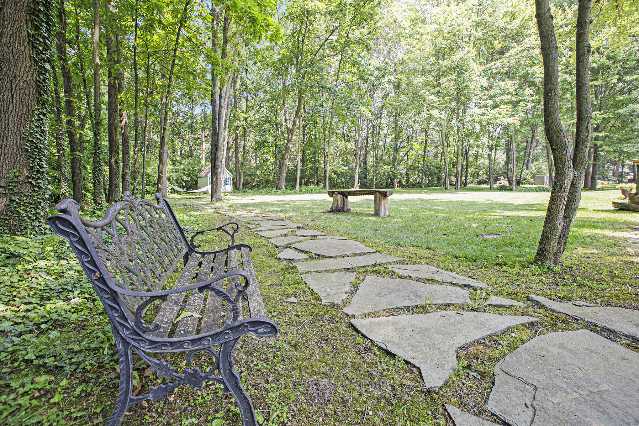 290 Shelby Court