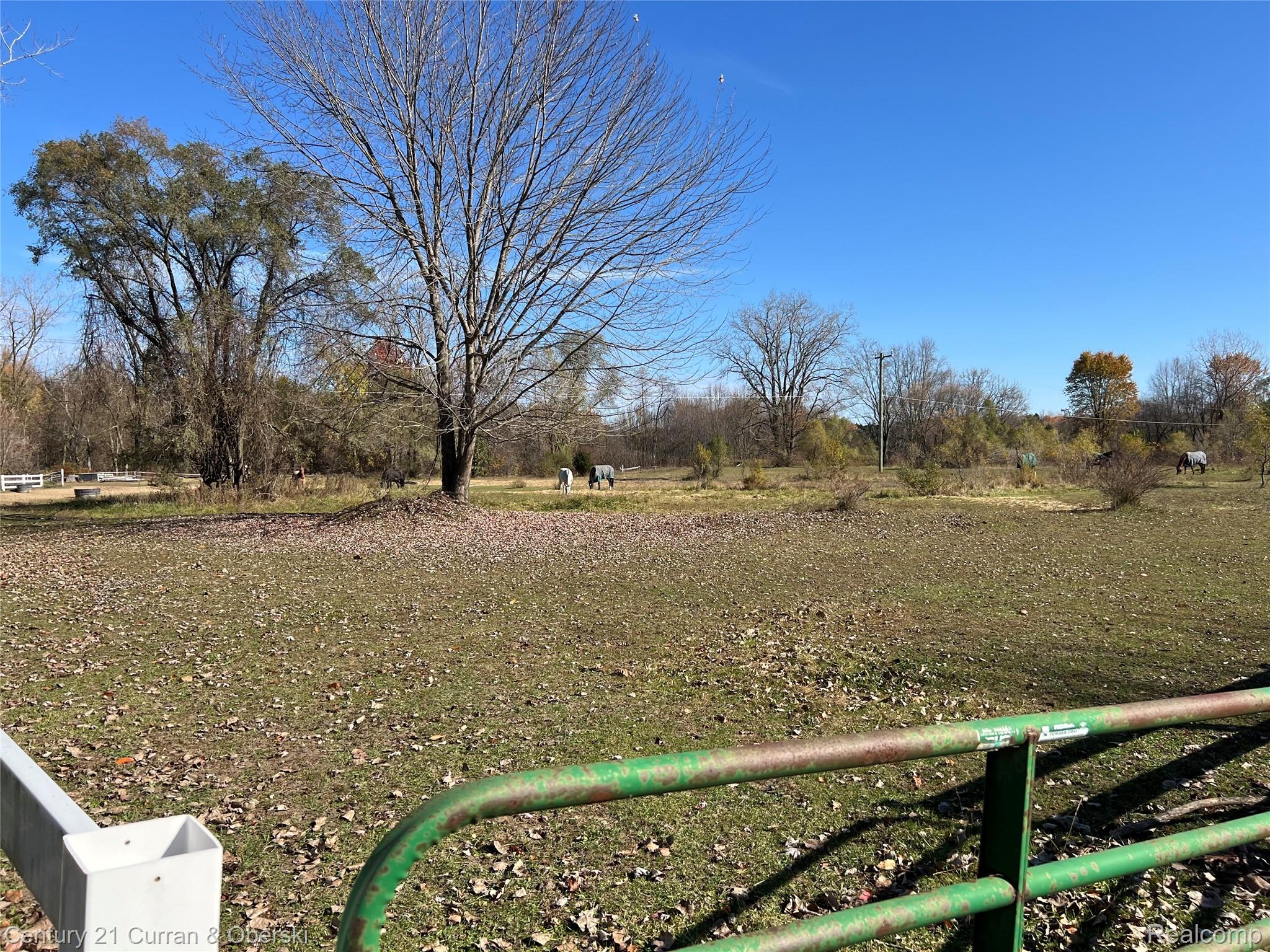 0000 7 Mile Seven Mile Rd