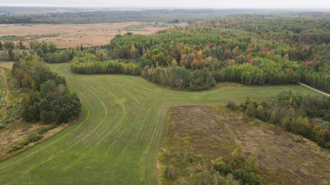11048 Wilson Rd Road Winterfield Township MI 49665