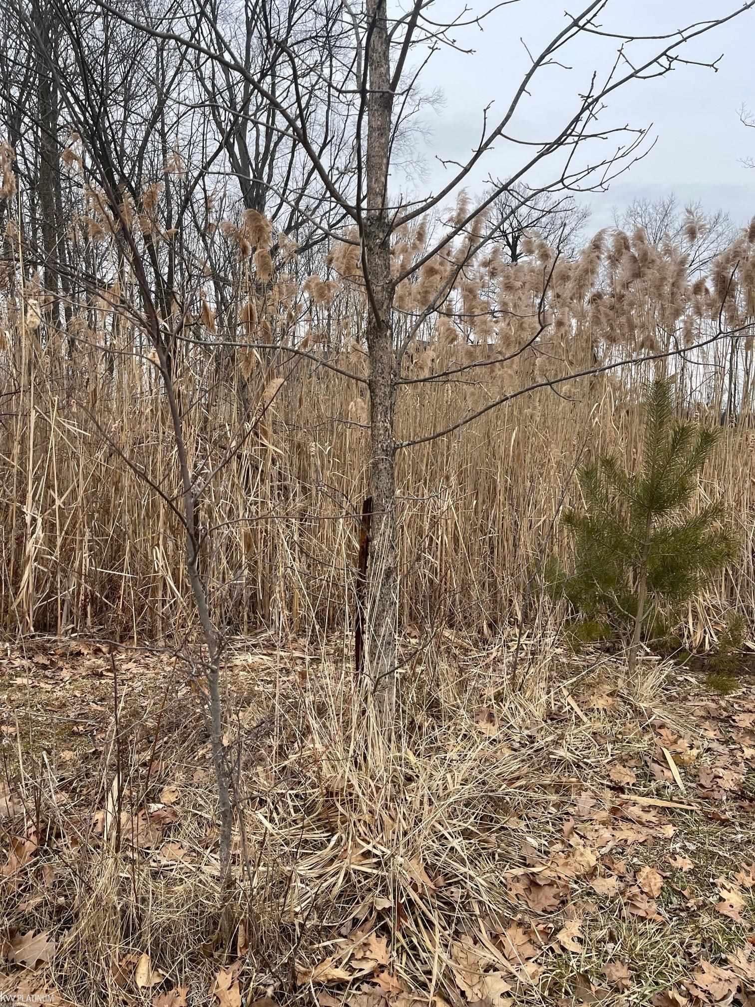 0 Fox Ridge 1-A Lane