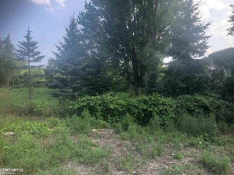 0 31 Mile Rd. Parcel 3 Ray Township MI 48096