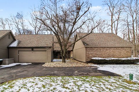 4641 Cottonwood Drive Lodi Township MI 48108