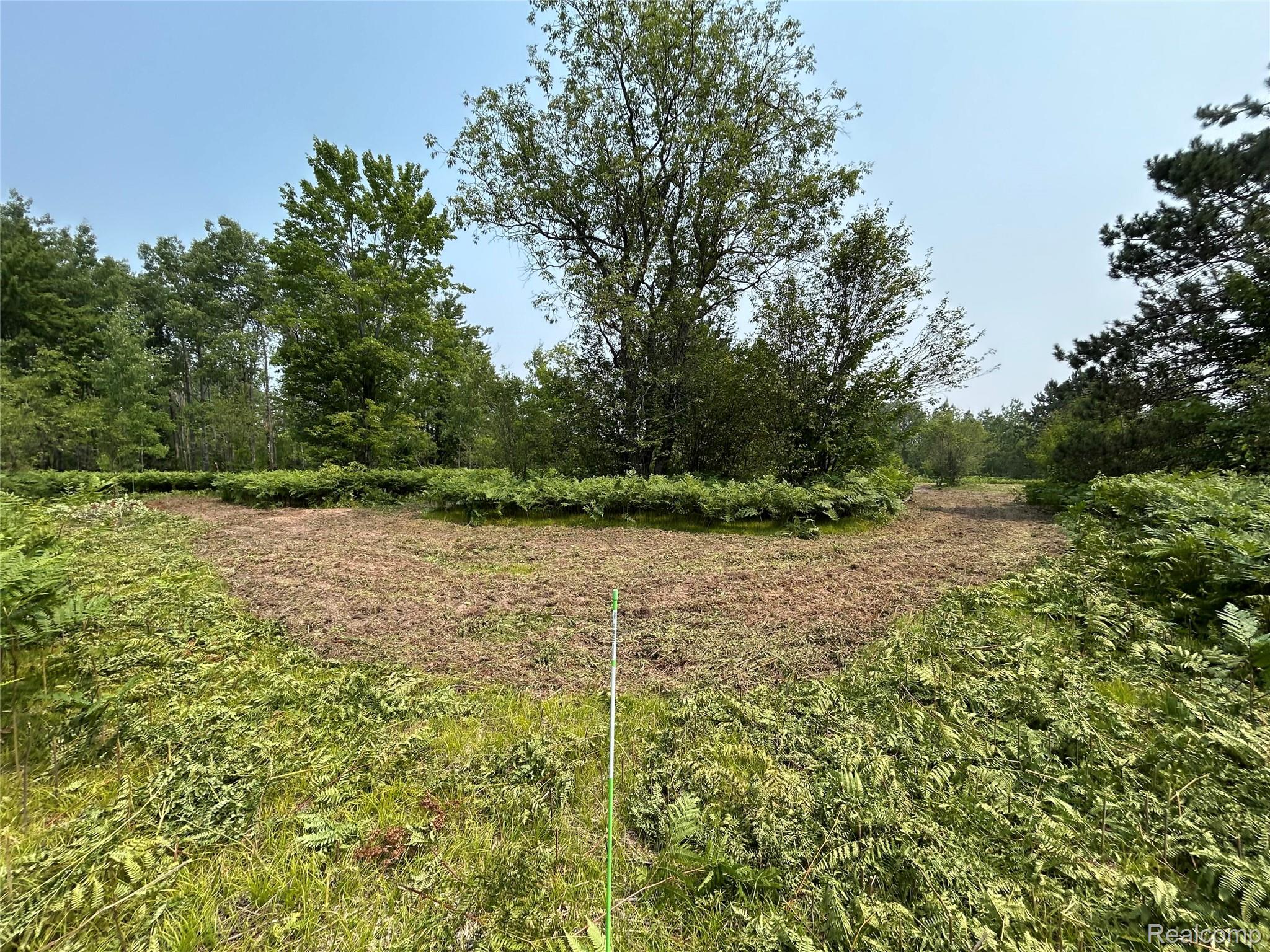 6658 Brookfield Court
