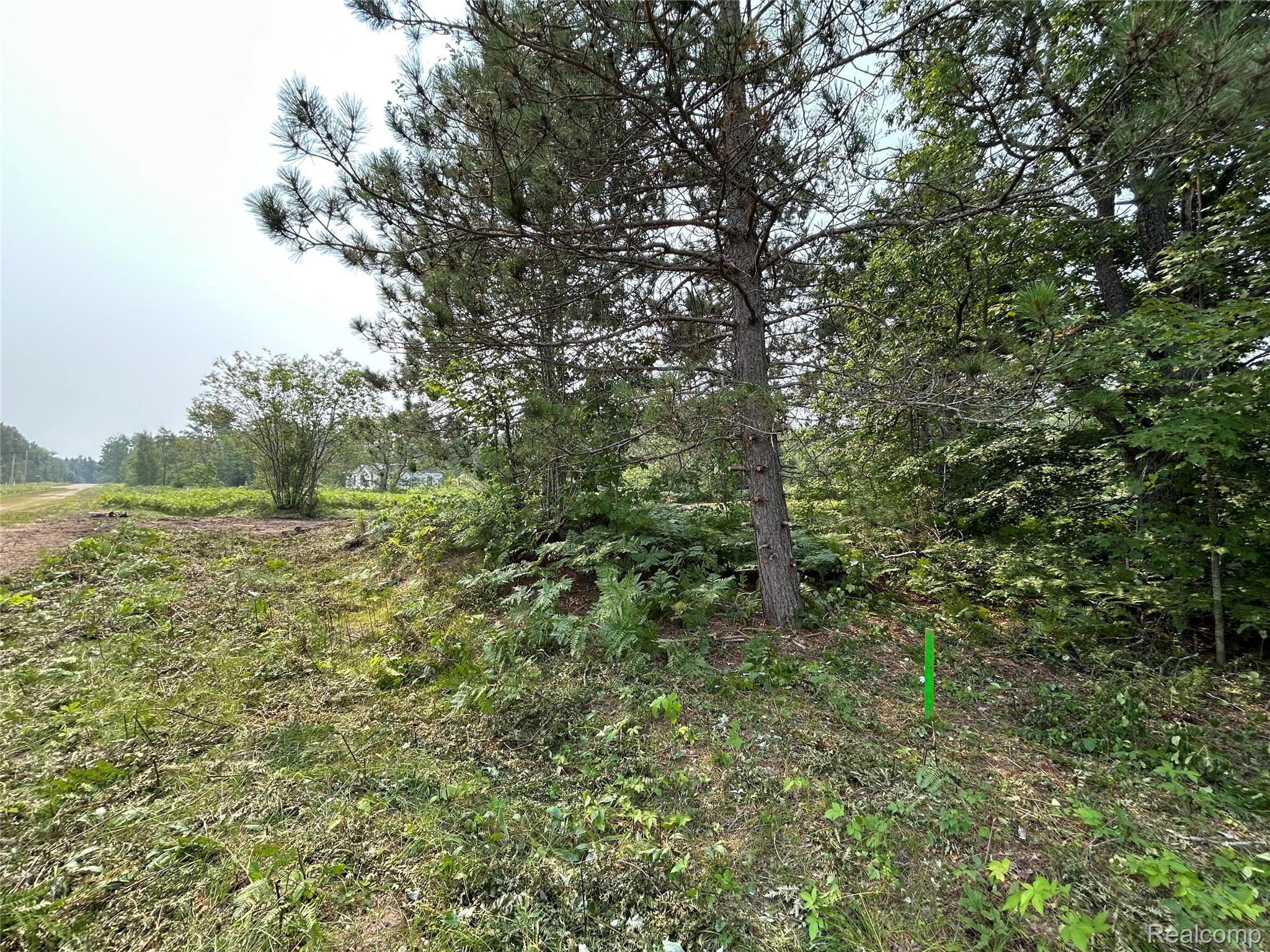 6658 Brookfield Court