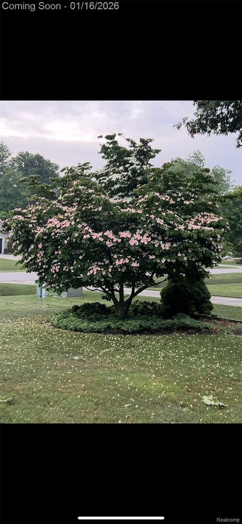 Tiny photo for 3669 Connie Lane, Fort Gratiot Charter Township, MI 48059 (MLS # 20251062168)