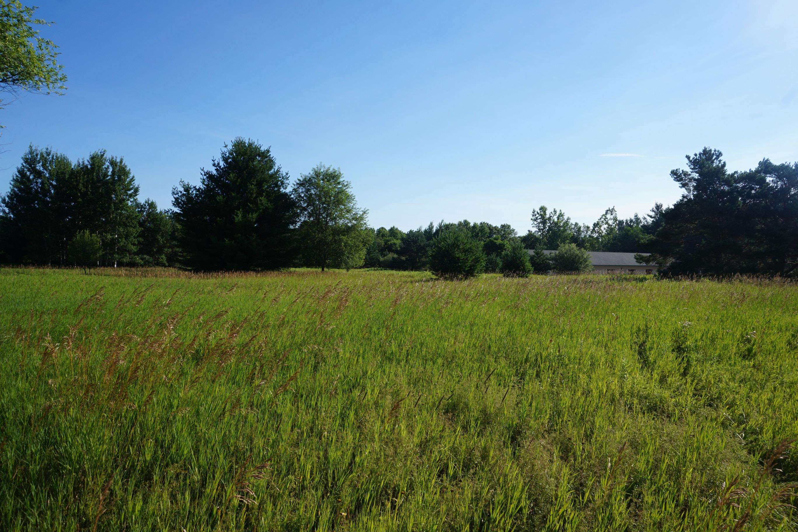 00 Tawas Road