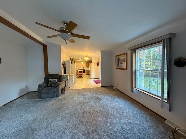 10526 County Road 502