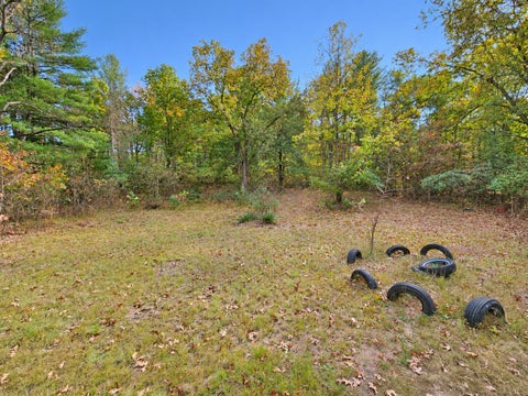 Tiny photo for 4102 Monroe Road, Valley Township, MI 49010 (MLS # 65026055824)