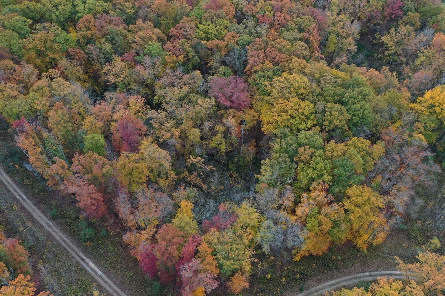 Meadowood Lane Lot 2