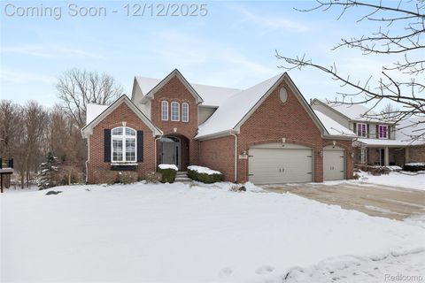 57351 Blossom Valley Trail Lyon Charter Township MI 48165