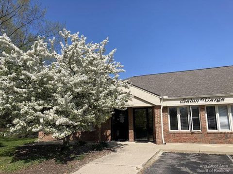 123 Keveling Drive Saline City MI 48176