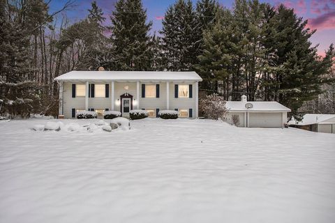 8295 D Drive S Newton Township MI 49033