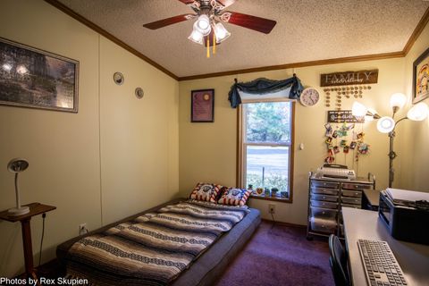 Tiny photo for 7110 S Thornapple Avenue, Brooks Township, MI 49337 (MLS # 72025058021)