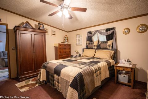 Tiny photo for 7110 S Thornapple Avenue, Brooks Township, MI 49337 (MLS # 72025058021)