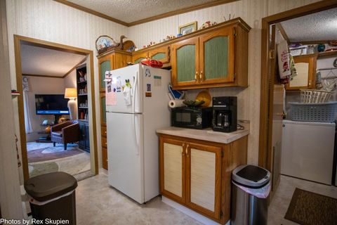 Tiny photo for 7110 S Thornapple Avenue, Brooks Township, MI 49337 (MLS # 72025058021)