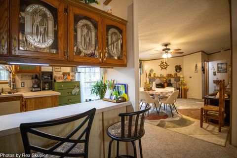 Tiny photo for 7110 S Thornapple Avenue, Brooks Township, MI 49337 (MLS # 72025058021)