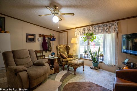 Tiny photo for 7110 S Thornapple Avenue, Brooks Township, MI 49337 (MLS # 72025058021)