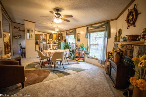 Tiny photo for 7110 S Thornapple Avenue, Brooks Township, MI 49337 (MLS # 72025058021)