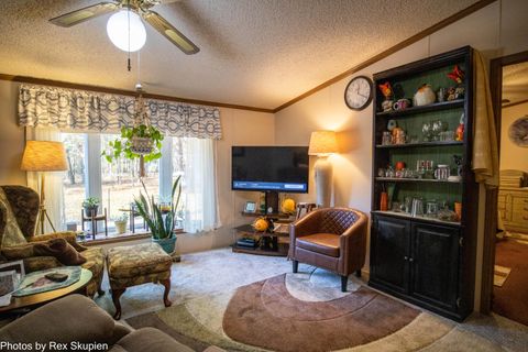 Tiny photo for 7110 S Thornapple Avenue, Brooks Township, MI 49337 (MLS # 72025058021)