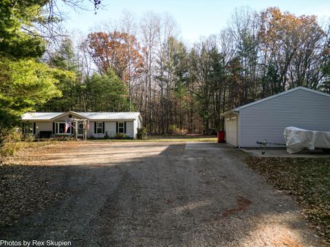 Tiny photo for 7110 S Thornapple Avenue, Brooks Township, MI 49337 (MLS # 72025058021)