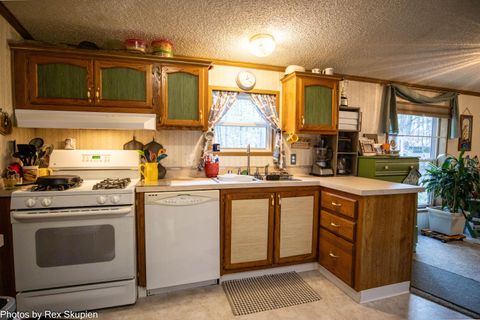 Tiny photo for 7110 S Thornapple Avenue, Brooks Township, MI 49337 (MLS # 72025058021)