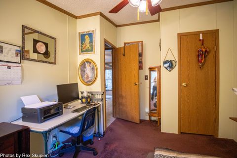 Tiny photo for 7110 S Thornapple Avenue, Brooks Township, MI 49337 (MLS # 72025058021)