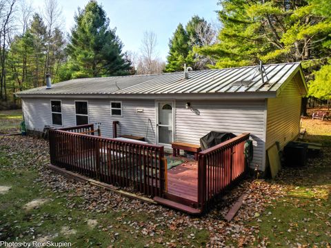 Tiny photo for 7110 S Thornapple Avenue, Brooks Township, MI 49337 (MLS # 72025058021)