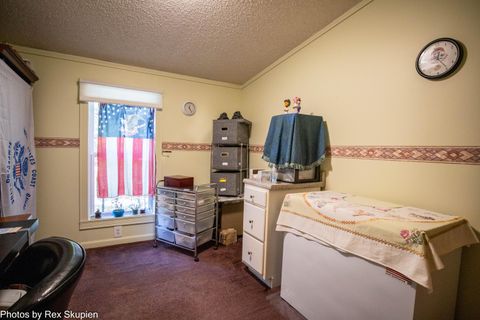 Tiny photo for 7110 S Thornapple Avenue, Brooks Township, MI 49337 (MLS # 72025058021)