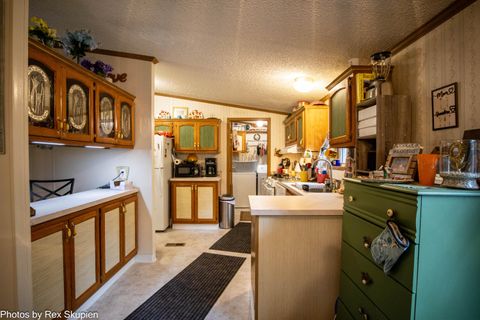 Tiny photo for 7110 S Thornapple Avenue, Brooks Township, MI 49337 (MLS # 72025058021)