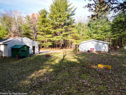 Tiny photo for 7110 S Thornapple Avenue, Brooks Township, MI 49337 (MLS # 72025058021)