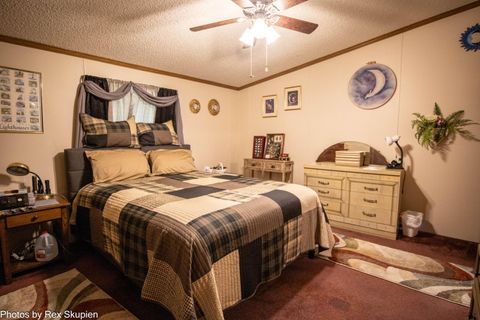 Tiny photo for 7110 S Thornapple Avenue, Brooks Township, MI 49337 (MLS # 72025058021)