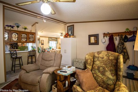 Tiny photo for 7110 S Thornapple Avenue, Brooks Township, MI 49337 (MLS # 72025058021)