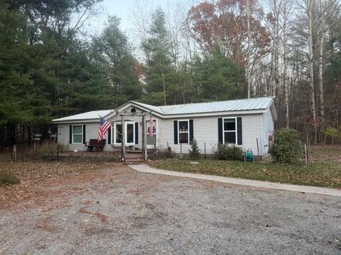 Photo of 7110 S Thornapple Avenue, Brooks Township, MI 49337 (MLS # 72025058021)