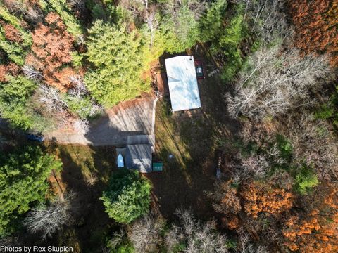 Tiny photo for 7110 S Thornapple Avenue, Brooks Township, MI 49337 (MLS # 72025058021)