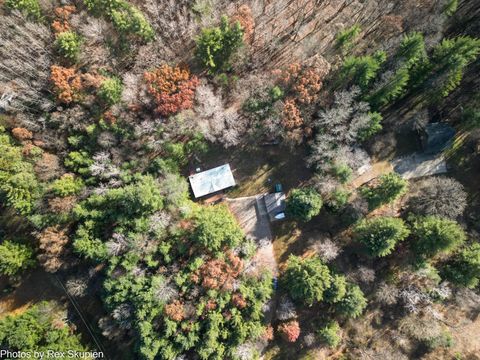 Tiny photo for 7110 S Thornapple Avenue, Brooks Township, MI 49337 (MLS # 72025058021)